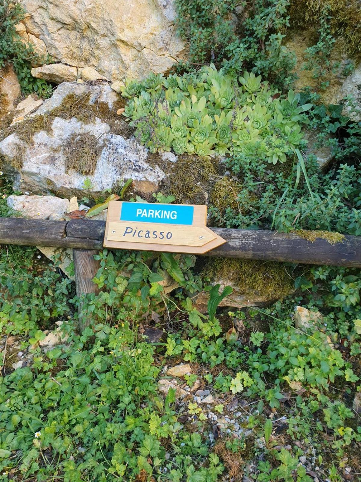 Residence Les Trois Jardins Avec Wifi Et Parking Gratuit Sarlat-la-Canéda Kültér fotó